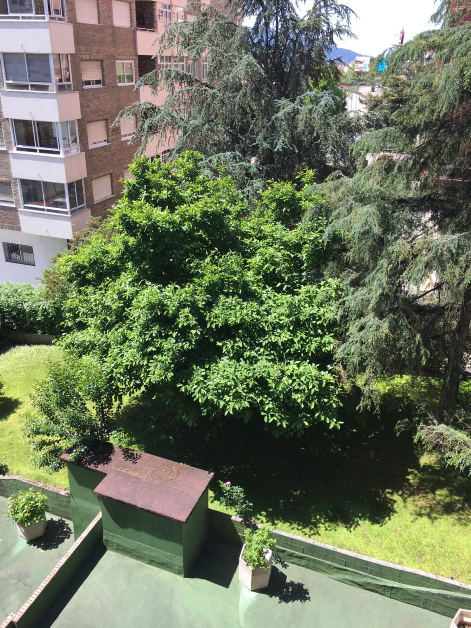 Gaivota Amplio Y Luminoso Con Plaza De Garaje Apartment Vigo Exterior foto